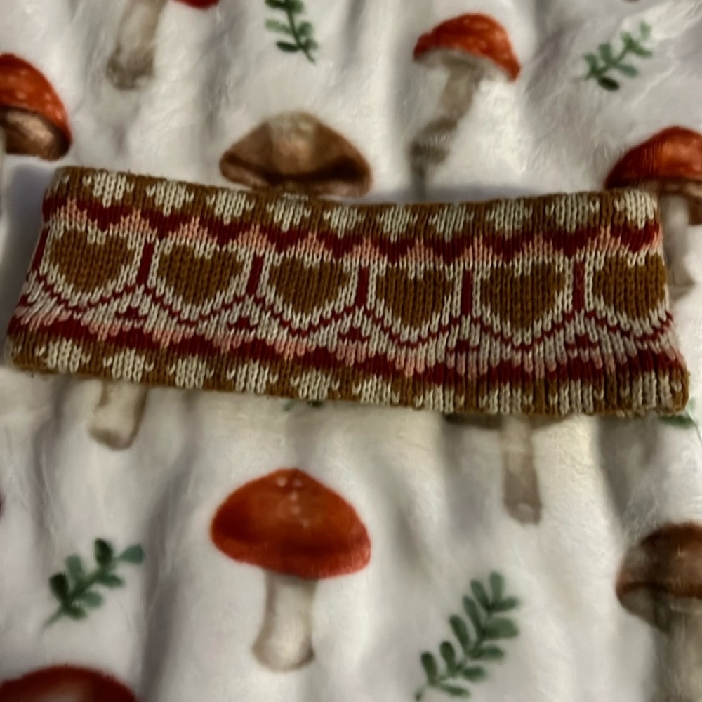 Urban Outfitters Adorable and Fluffy Headband With Hearts and Around it.